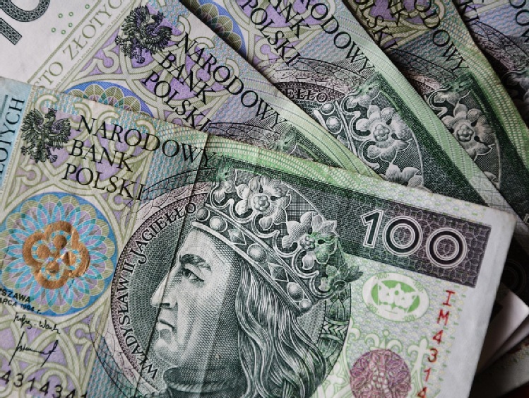 Dopłaty bezpośrednie 2025: ostatnia szansa na złożenie wniosku i korekty bez strat finansowych